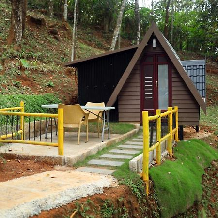 Garden Of Eden-Thottam Munnar-Hiking And Camping Anachal Bagian luar foto