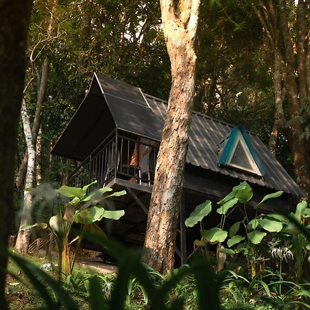 Garden Of Eden-Thottam Munnar-Hiking And Camping Anachal Bagian luar foto
