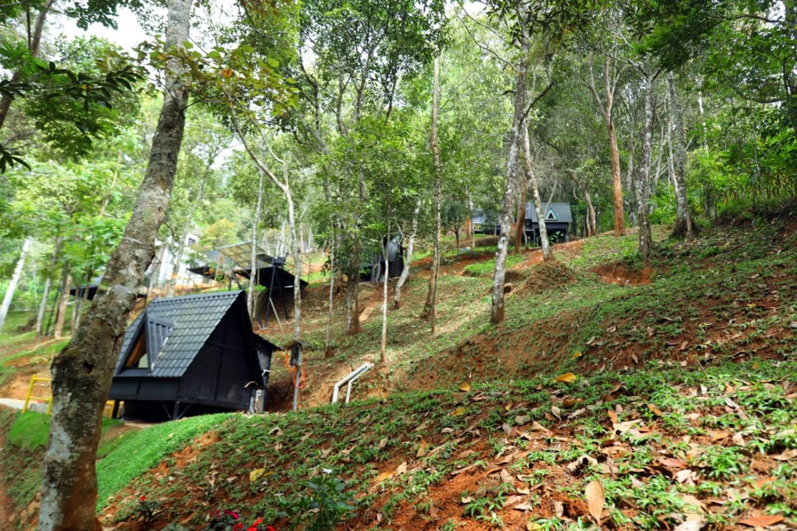 Garden Of Eden-Thottam Munnar-Hiking And Camping Anachal Bagian luar foto