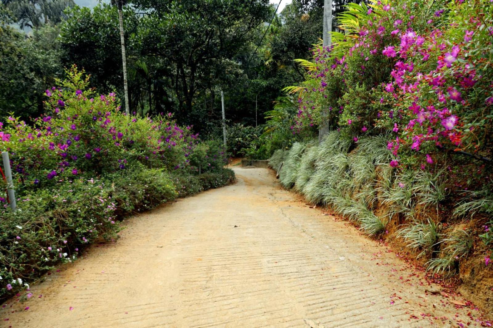 Garden Of Eden-Thottam Munnar-Hiking And Camping Anachal Bagian luar foto