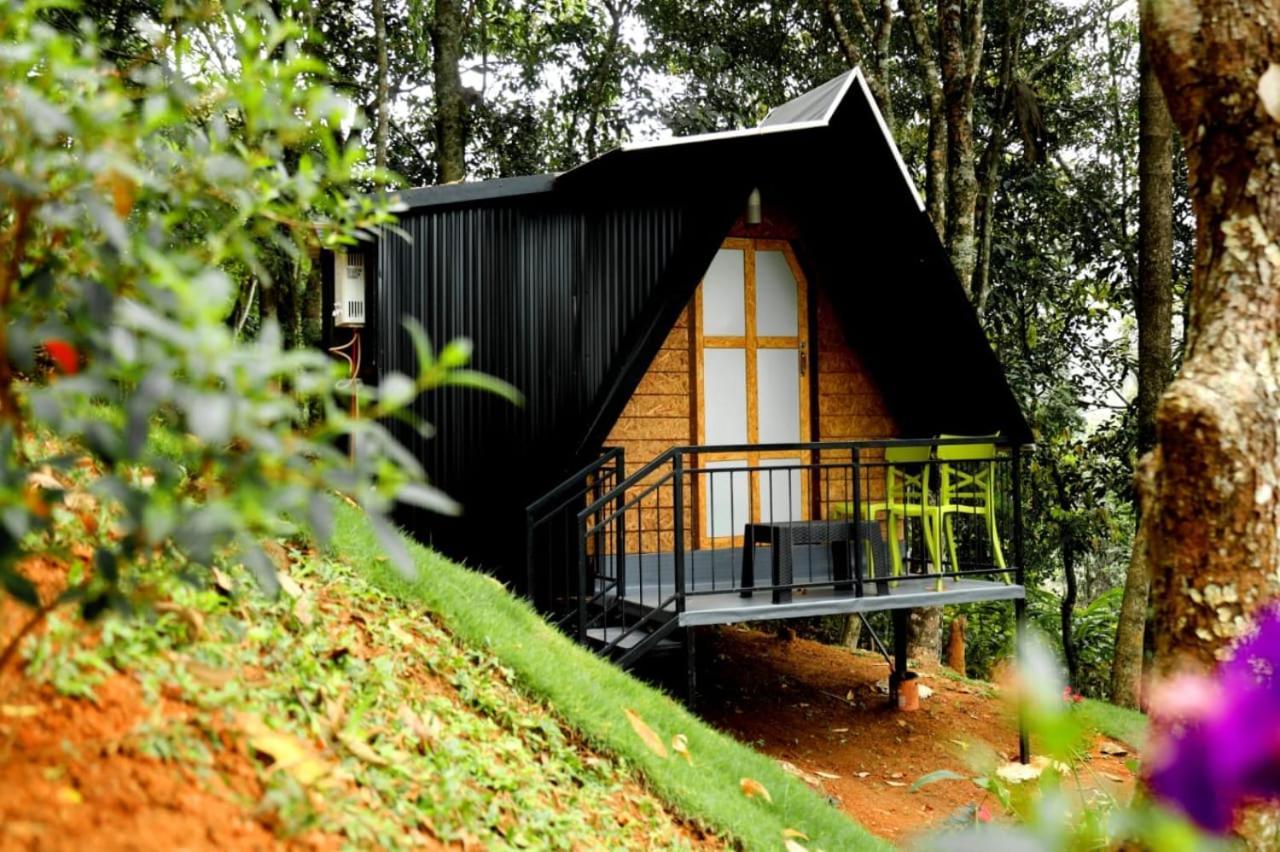 Garden Of Eden-Thottam Munnar-Hiking And Camping Anachal Bagian luar foto