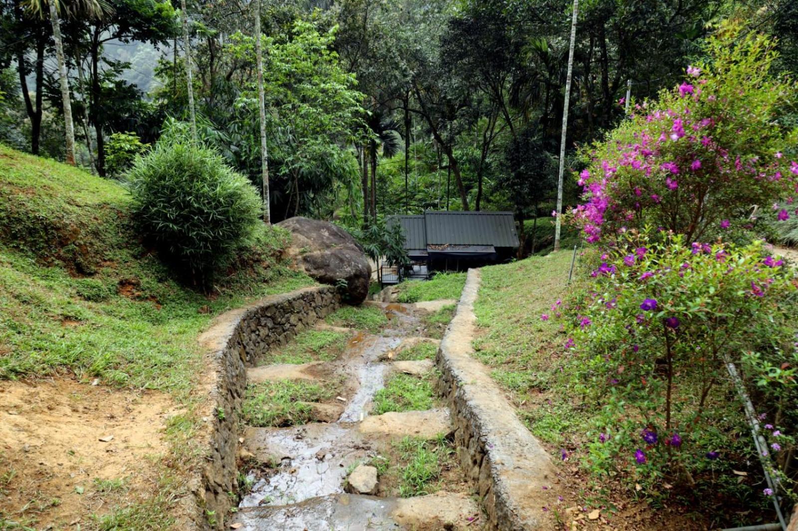 Garden Of Eden-Thottam Munnar-Hiking And Camping Anachal Bagian luar foto