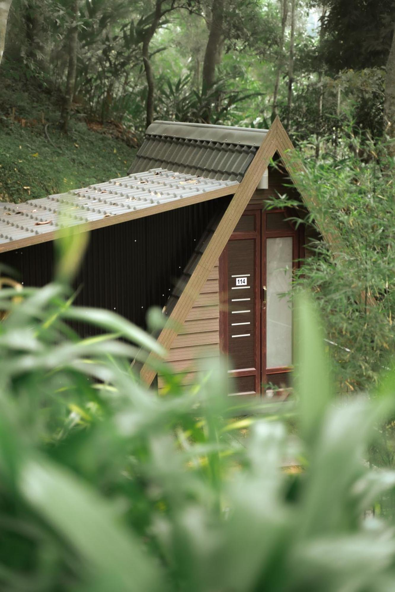 Garden Of Eden-Thottam Munnar-Hiking And Camping Anachal Bagian luar foto
