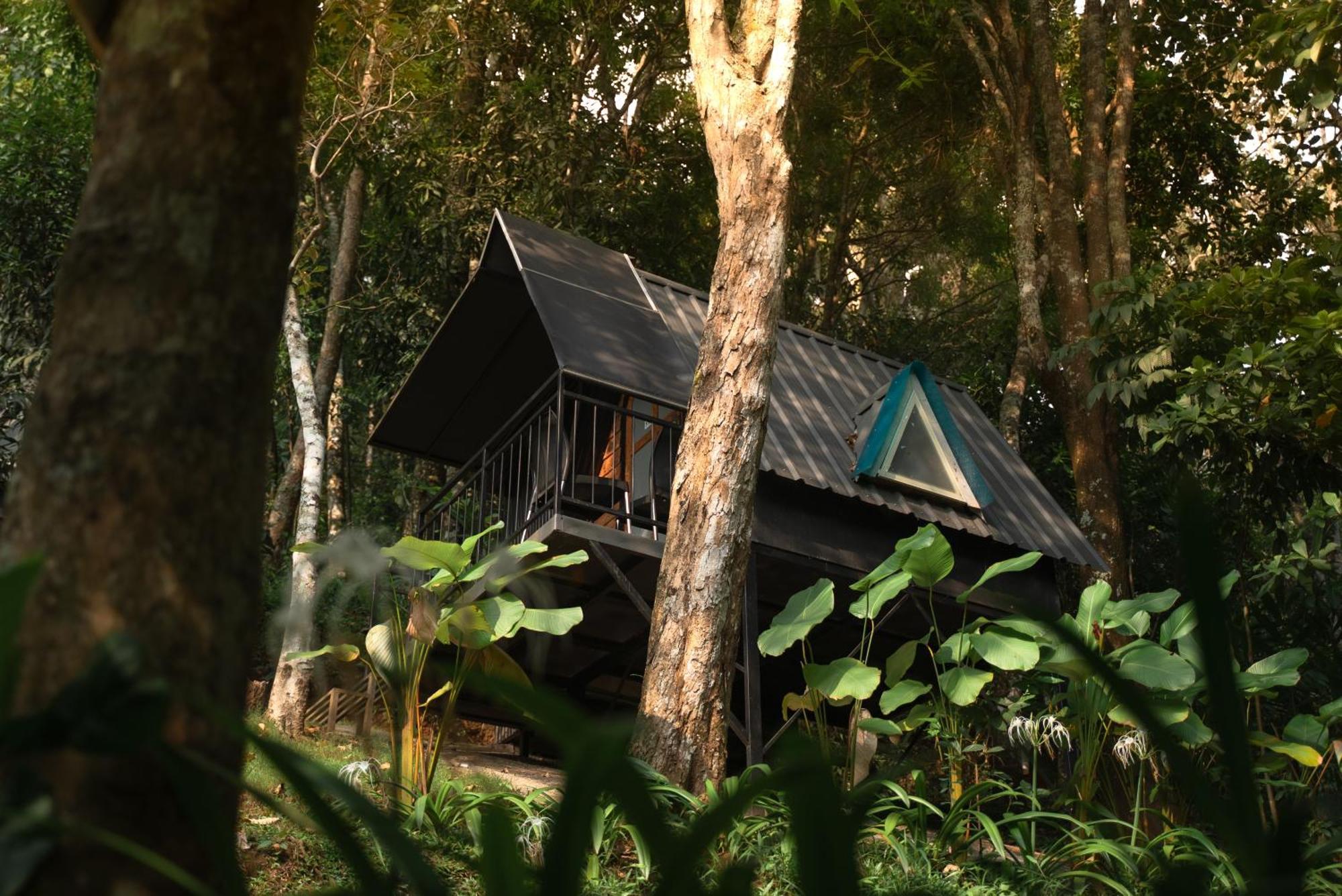 Garden Of Eden-Thottam Munnar-Hiking And Camping Anachal Bagian luar foto