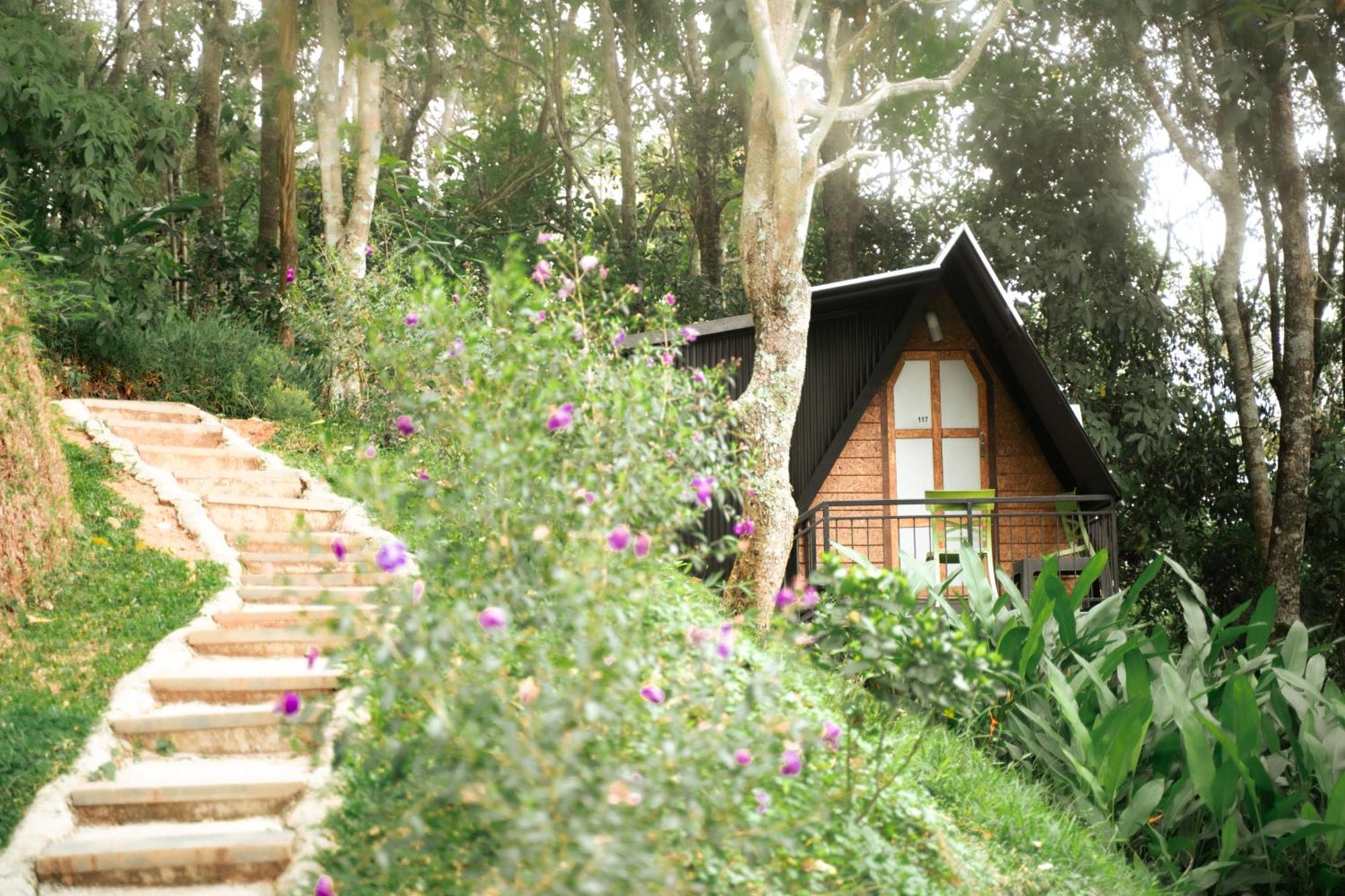 Garden Of Eden-Thottam Munnar-Hiking And Camping Anachal Bagian luar foto