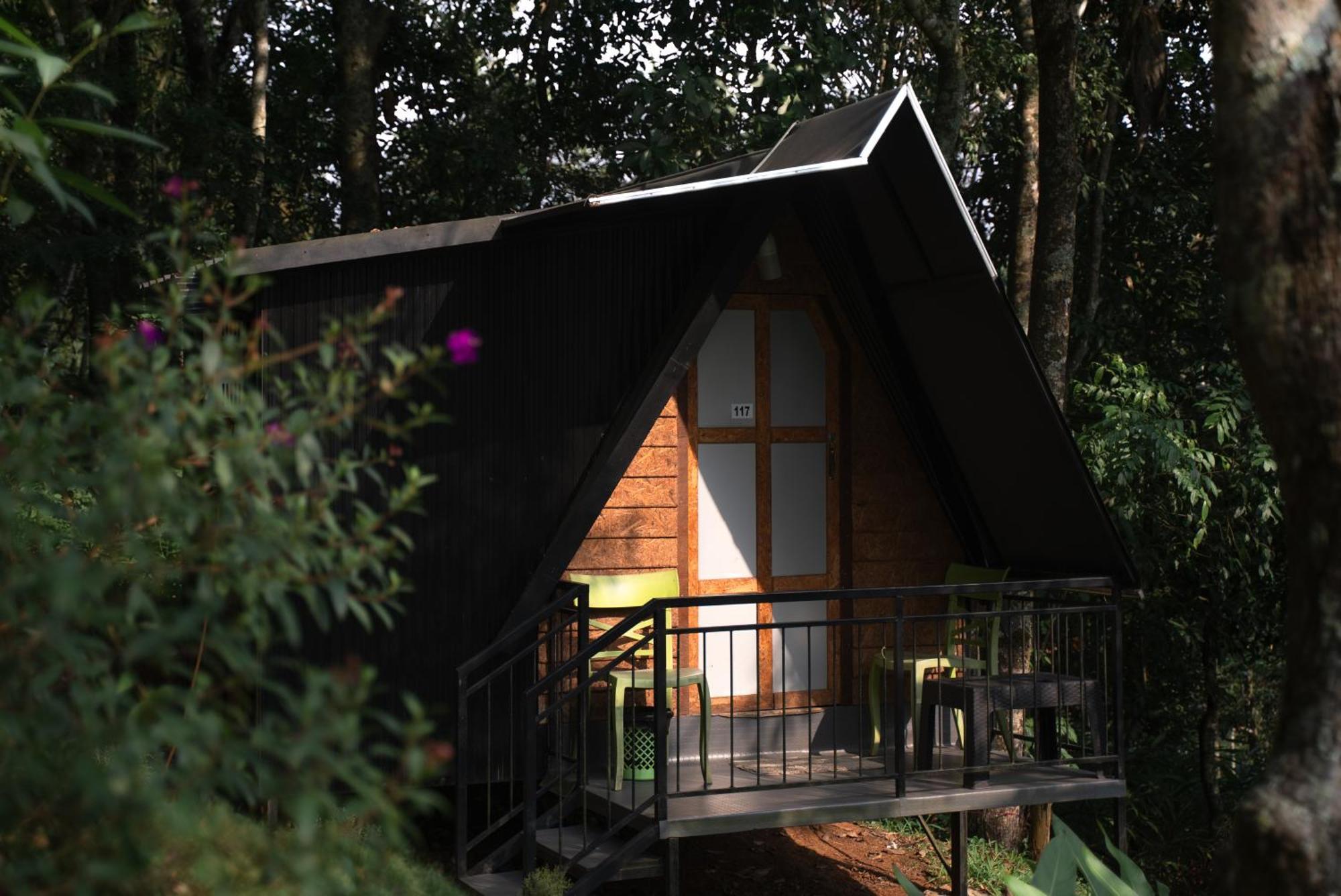 Garden Of Eden-Thottam Munnar-Hiking And Camping Anachal Bagian luar foto