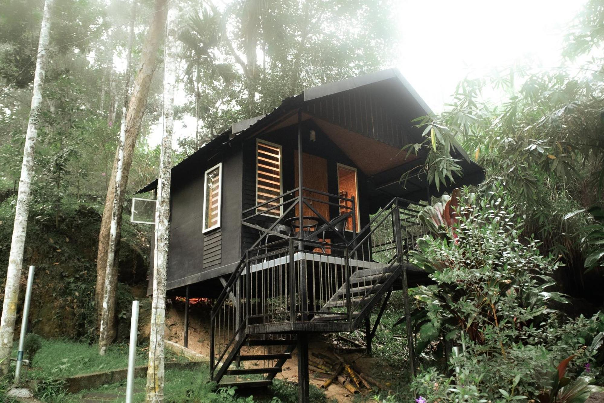 Garden Of Eden-Thottam Munnar-Hiking And Camping Anachal Bagian luar foto