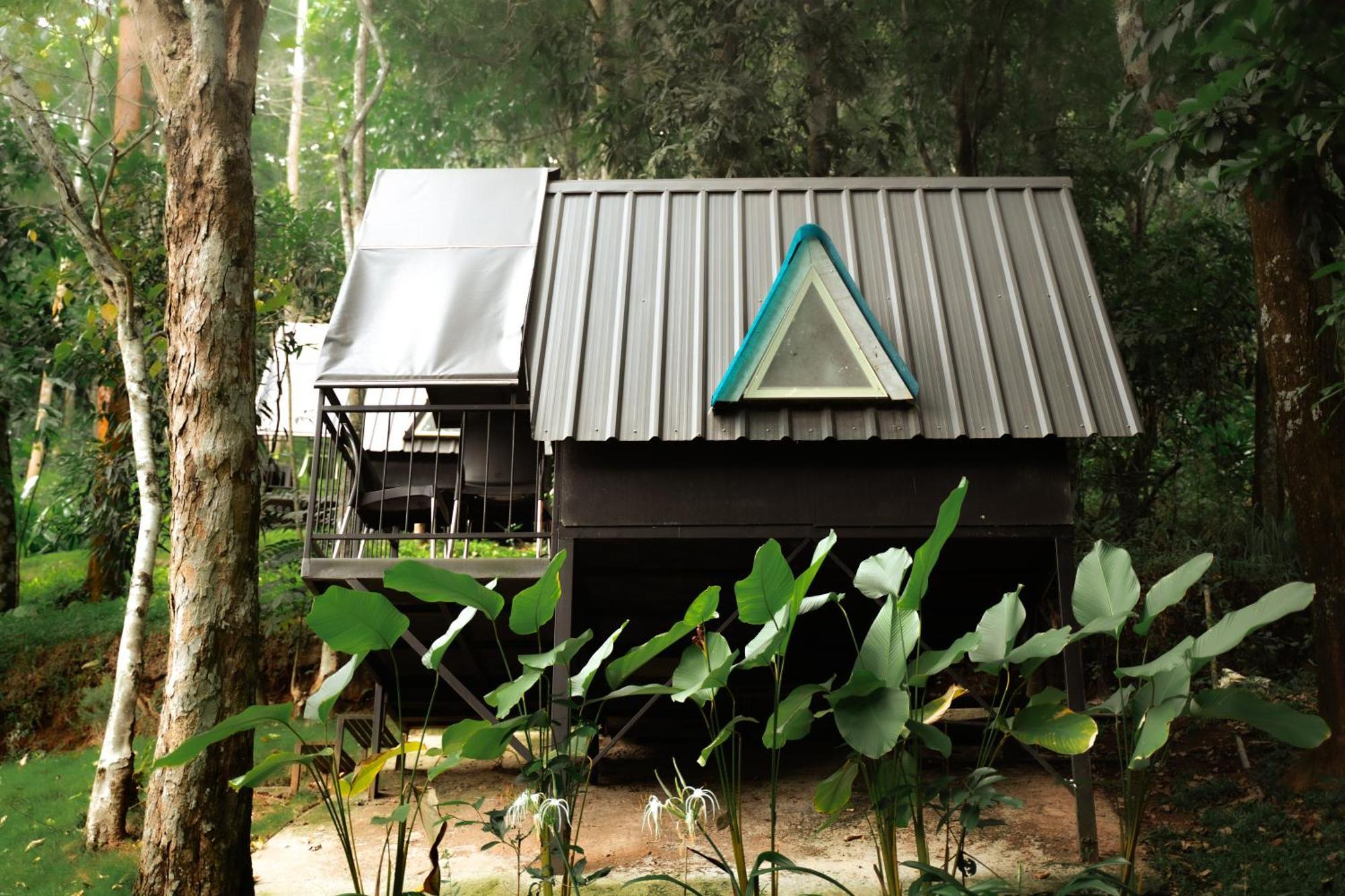 Garden Of Eden-Thottam Munnar-Hiking And Camping Anachal Bagian luar foto